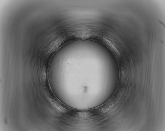 X0000097510541200802291621