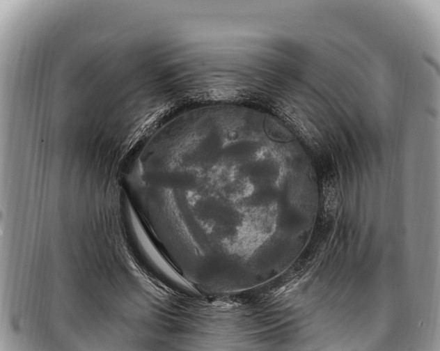 X0000097510542200802291621