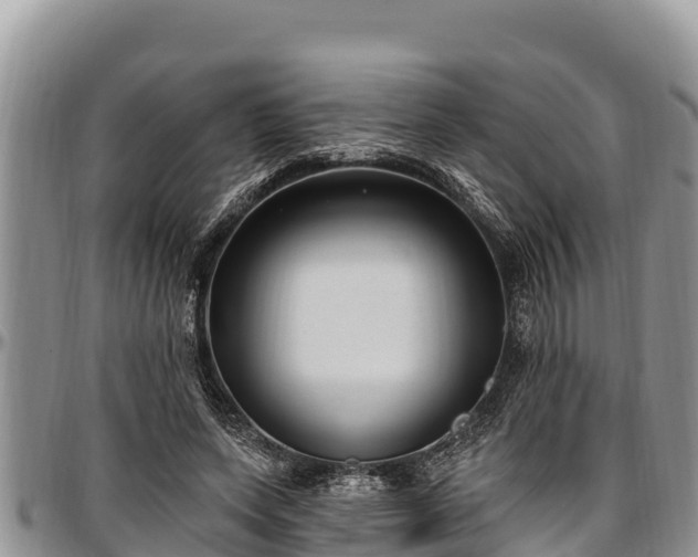 X0000097510543200802291621