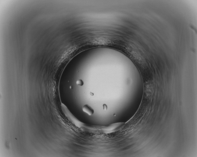 X0000097510544200802291621