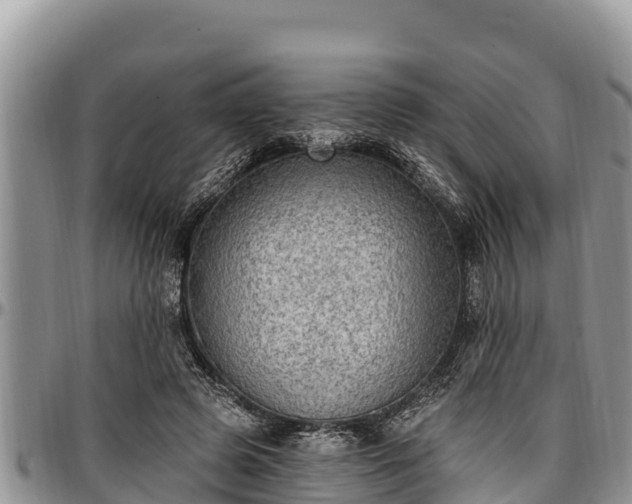 X0000097510545200802291621