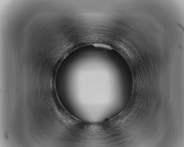 X0000097510546200802291621