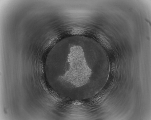 X0000097510547200802291621