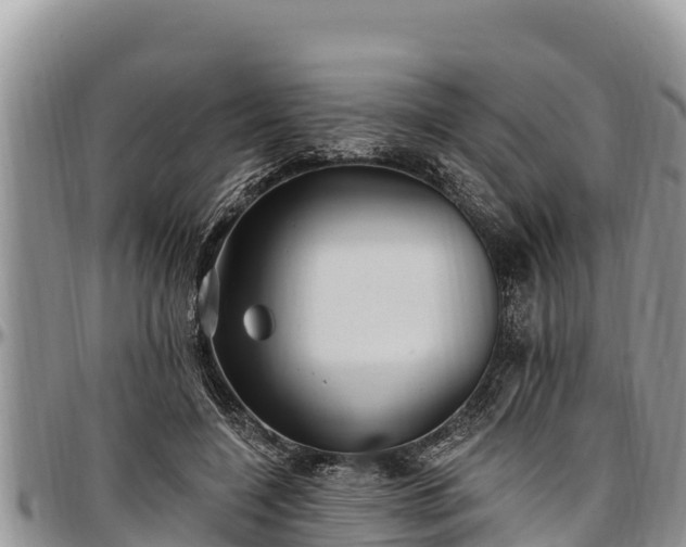 X0000097510548200802291621