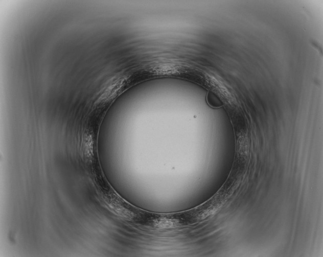 X0000097510549200802291621