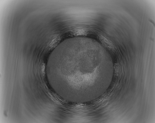 X0000097510550200802291621