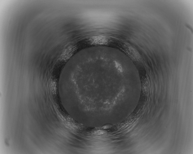 X0000097510551200802291621