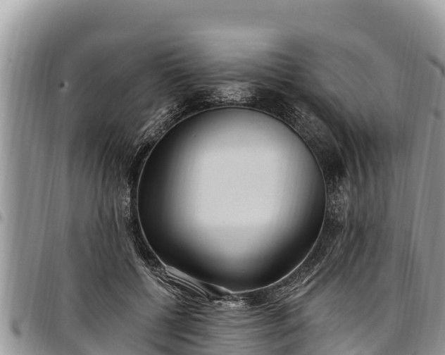 X0000097510552200802291621