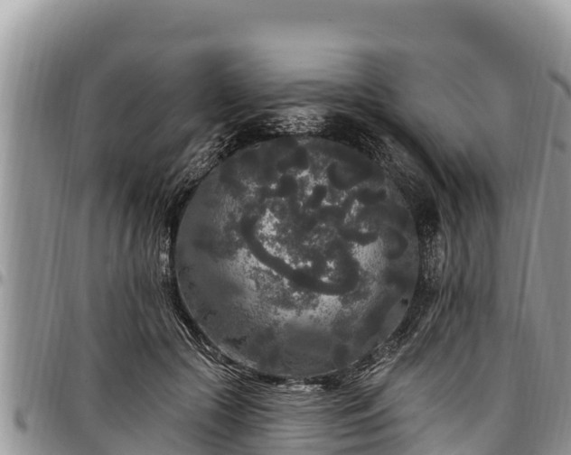 X0000097510553200802291621