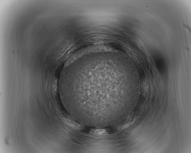 X0000097510554200802291621