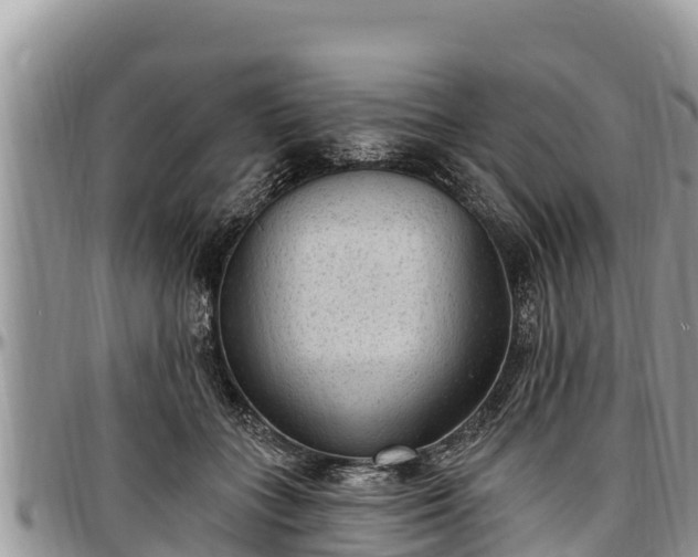 X0000097510555200802291621