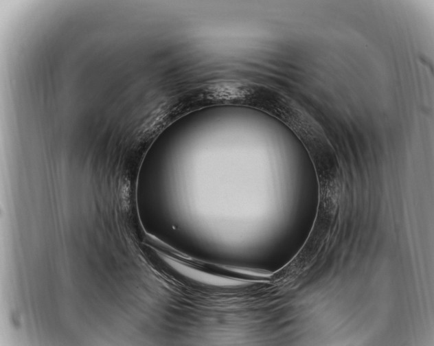 X0000097510556200802291621