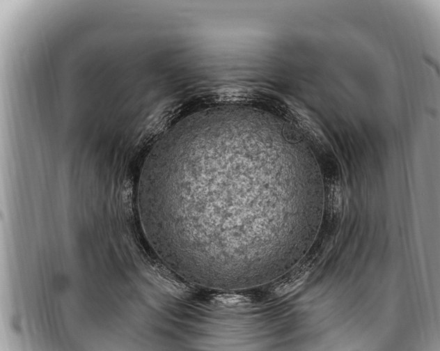 X0000097510557200802291621