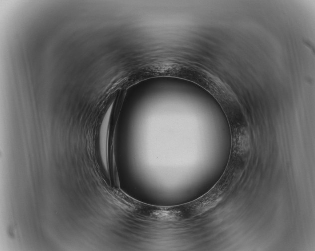 X0000097510558200802291621