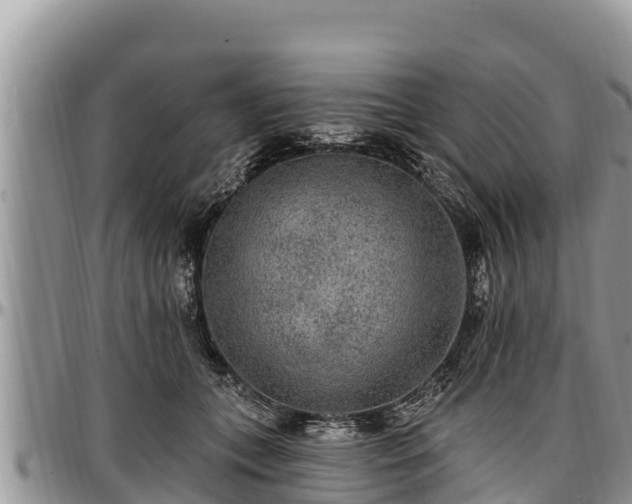 X0000097510559200802291621