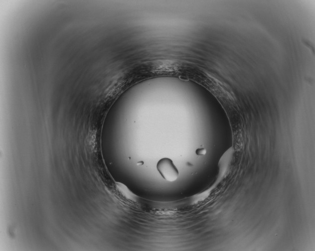 X0000097510560200802291621