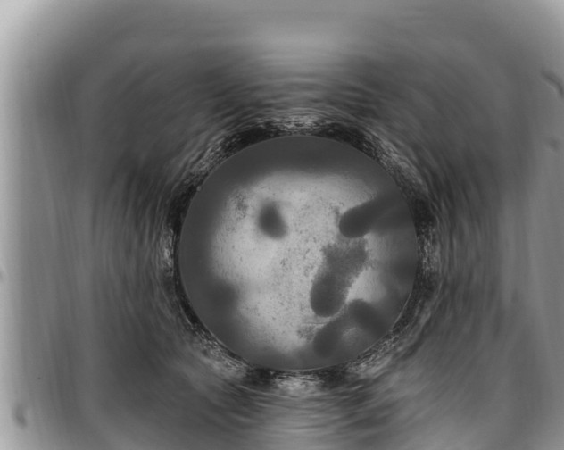 X0000097510561200802291621