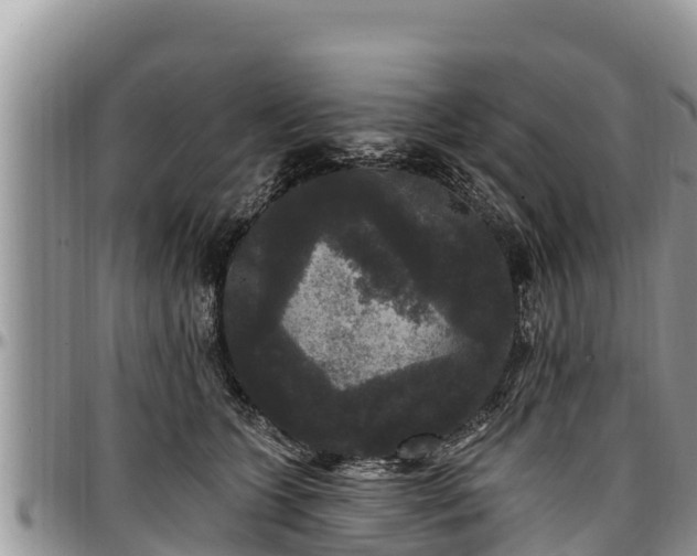 X0000097510563200802291621