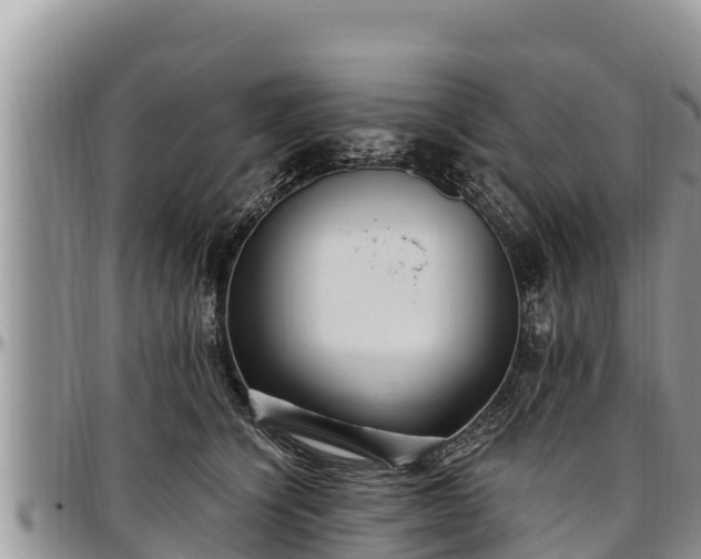 X0000097510564200802291621