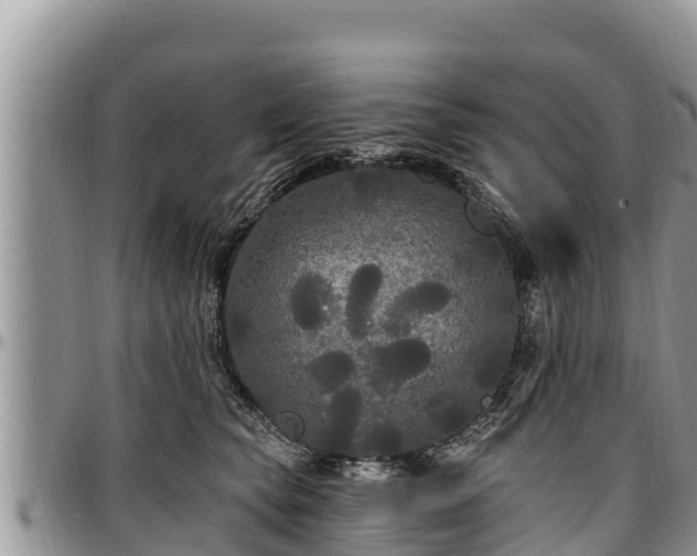 X0000097510565200802291621