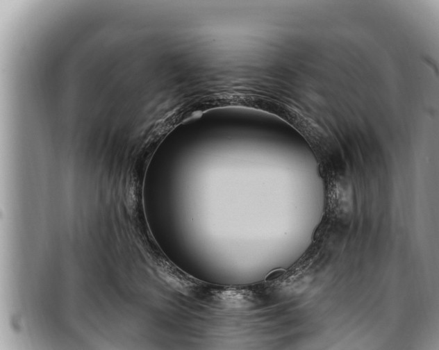 X0000097510566200802291621