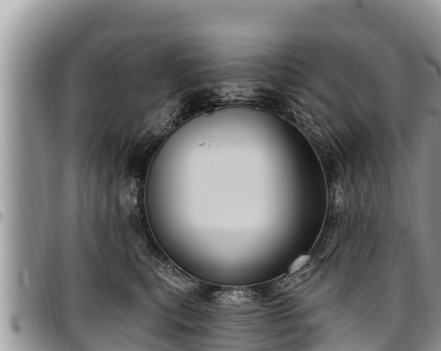 X0000097510567200802291621