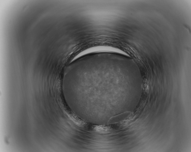 X0000097510568200802291621