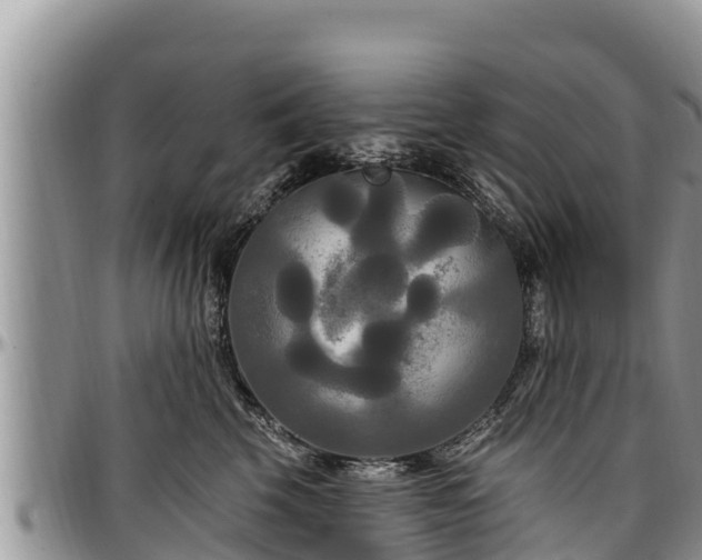 X0000097510569200802291621