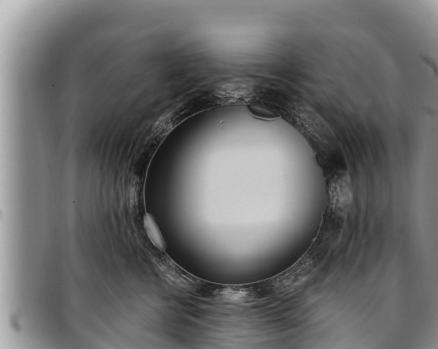 X0000097510570200802291621