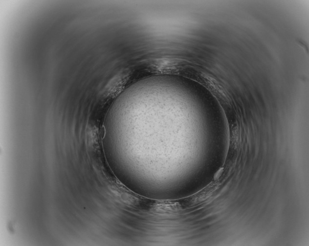 X0000097510571200802291621