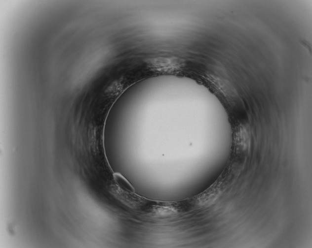 X0000097510572200802291621