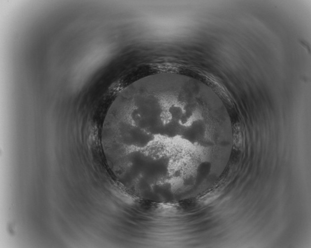 X0000097510573200802291621