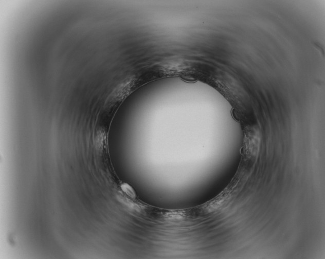 X0000097510574200802291621