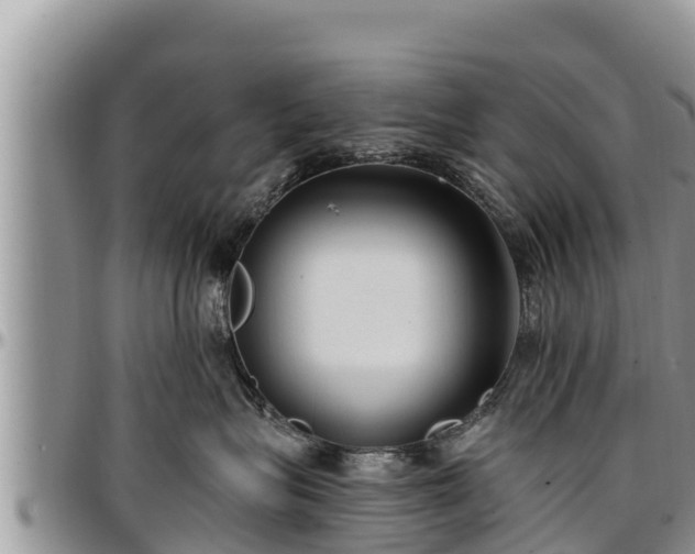 X0000097510575200802291621