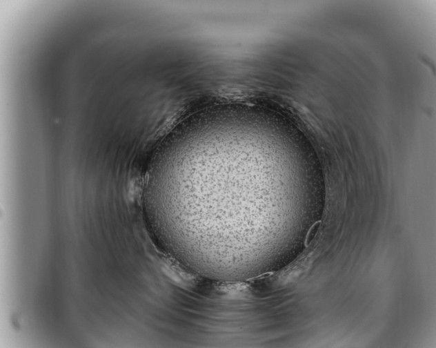 X0000097510576200802291621