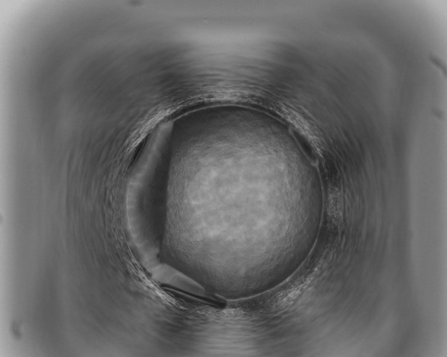 X0000097510577200802291620