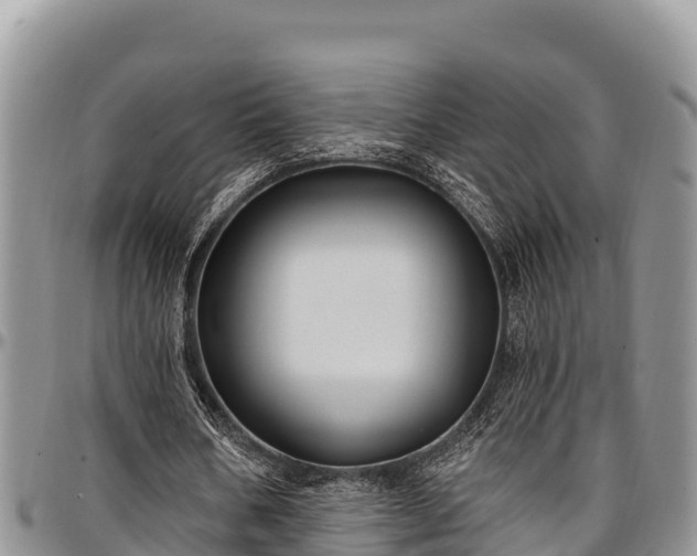 X0000097510578200802291620