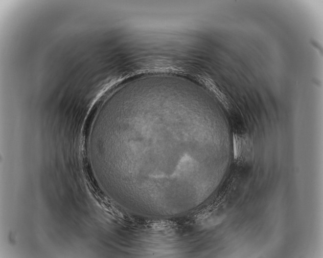 X0000097510579200802291620