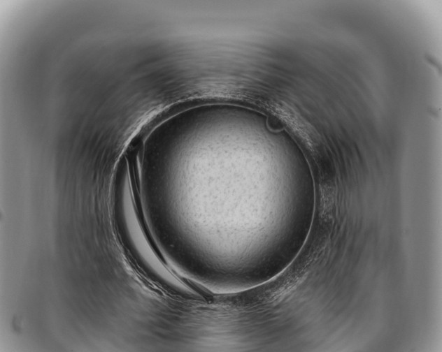 X0000097510580200802291620