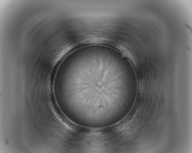 X0000097510581200802291620