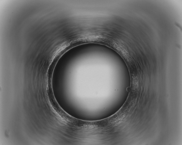 X0000097510582200802291620