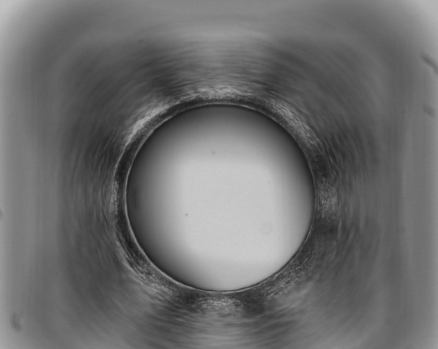 X0000097510583200802291620