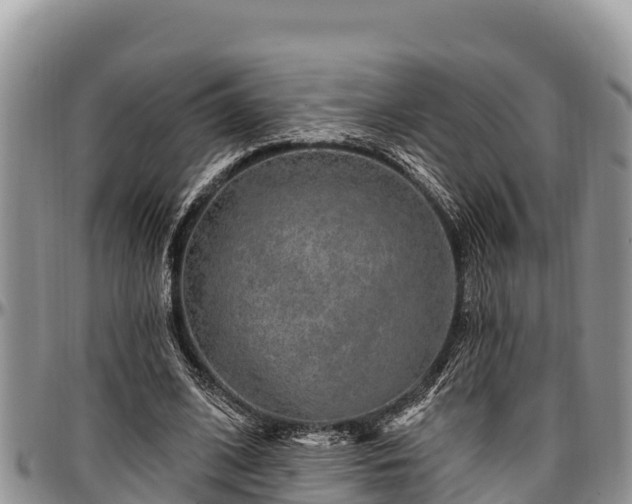 X0000097510584200802291620