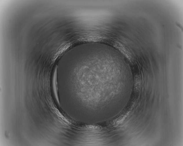 X0000097510585200802291620