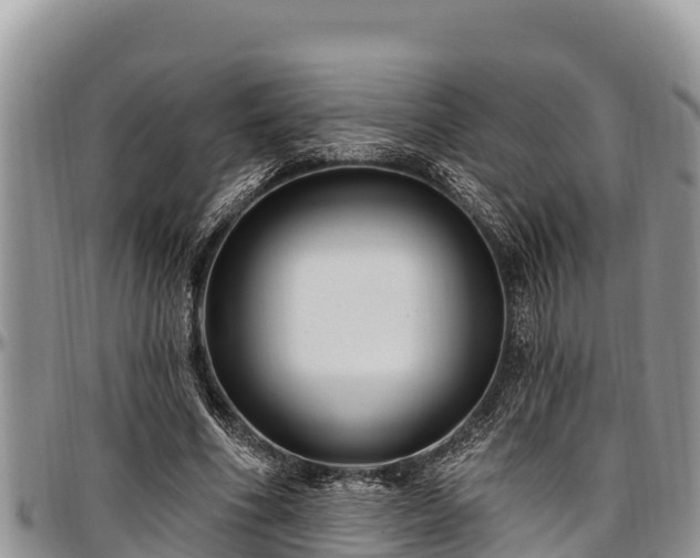 X0000097510586200802291620