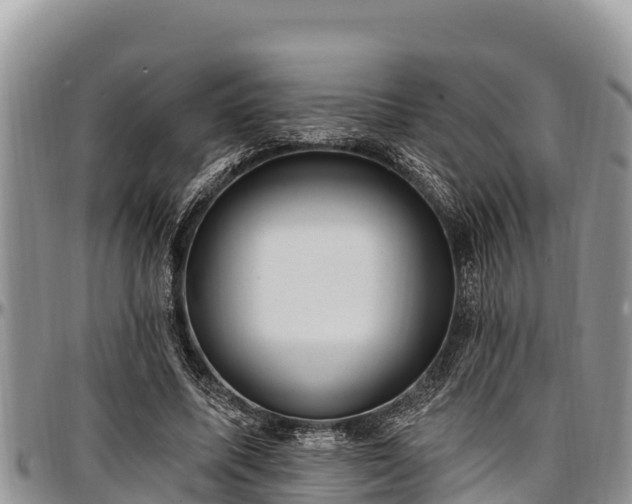 X0000097510587200802291620