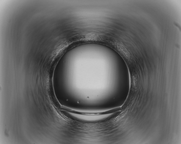 X0000097510588200802291620