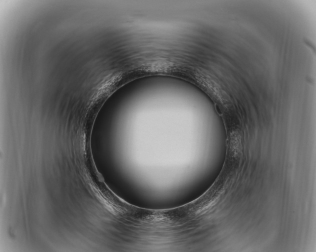 X0000097510589200802291620