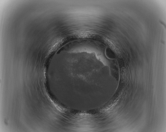 X0000097510590200802291620