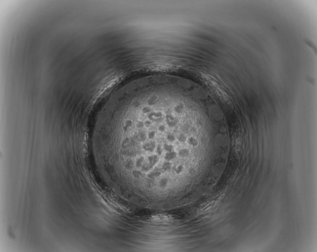 X0000097510591200802291620